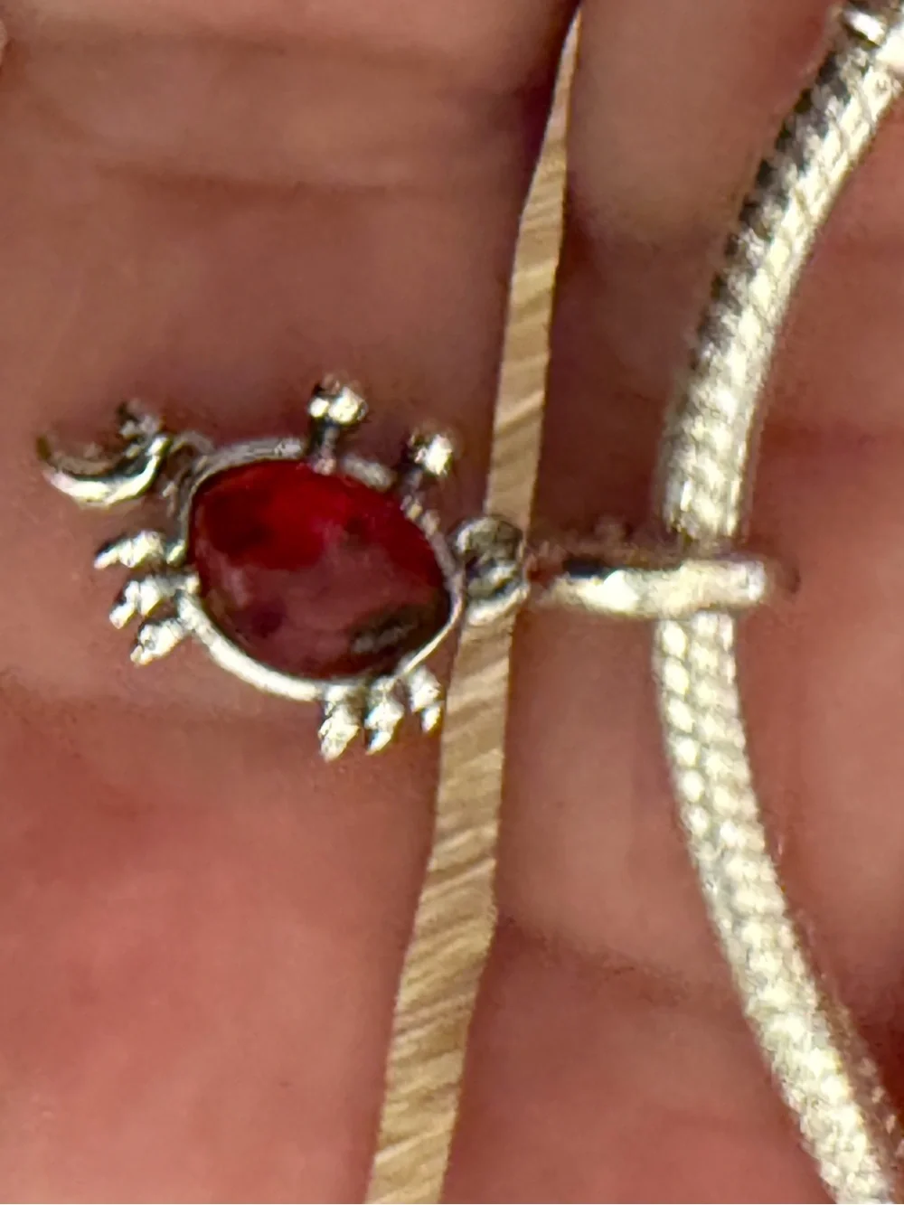 Sterling Silver Red Gem Turtle Pendant Necklace - Unbranded